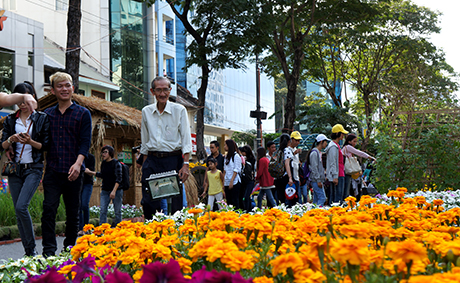 Hệ thống camera an ninh hỗ trợ du khách tham quan đường hoa